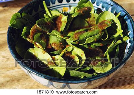 a spinach salad View Large Photo Image Stock Image - a spinach salad. Fotosearch