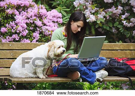 a teenage girl sitting on a park bench with her dog and working on her laptop computer View Large Photo Image Picture - a teenage girl sitting on a park bench with her dog and working on her laptop computer. Fotosearch