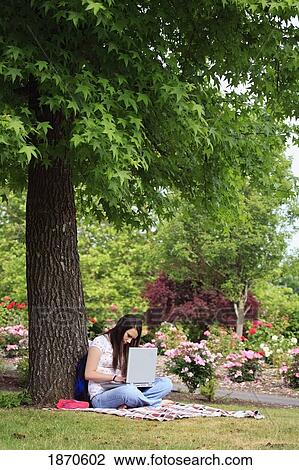 Stock Image - a teenage girl working on her laptop computer under a tree. Fotosearch