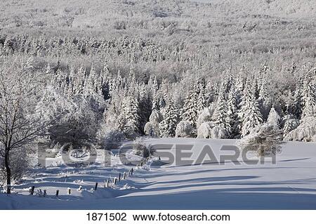 a winter landscape View Large Photo Image Stock Image - a winter landscape. Fotosearch