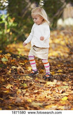 a young girl plays in the leaves in autumn View Large Photo Image Stock Image - a young girl plays in the leaves in autumn. Fotosearch