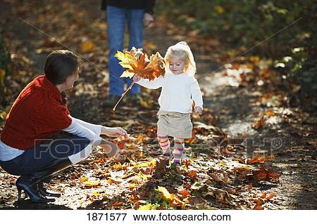 a young girl with her parents finding large leaves in autumn View Large Photo Image Stock Photo - a young girl with her parents finding large leaves in autumn. Fotosearch