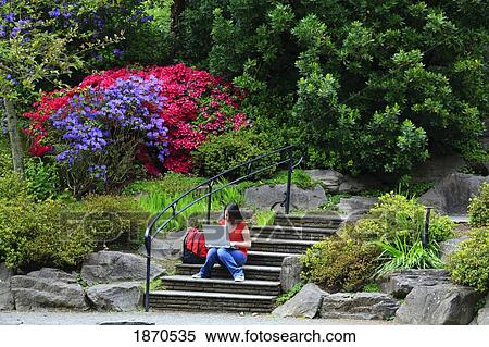 a young woman sitting on the steps outdoors working on her laptop computer View Large Photo Image Stock Photography - a young woman sitting on the steps outdoors working on her laptop computer. Fotosearch
