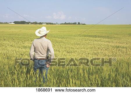 alberta, canada; a farmer standing in a wheat field View Large Photo Image Stock Image - alberta, canada; a farmer standing in a wheat field. Fotosearch