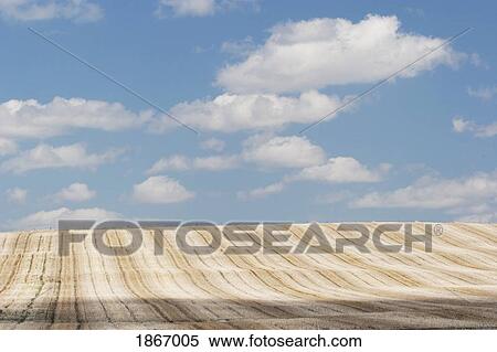 alberta, canada; cut brown field with clouds in the sky View Large Photo Image Stock Photography - alberta, canada; cut brown field with clouds in the sky. Fotosearch