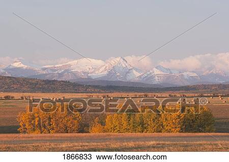 alberta, canada; front range mountains covered in snow with the foothills in autumn View Large Photo Image Stock Image - alberta, canada; front range mountains covered in snow with the foothills in autumn. Fotosearch