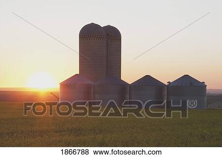 alberta, canada; grain bins at sunrise View Large Photo Image Stock Photo - alberta, canada; grain bins at sunrise. Fotosearch
