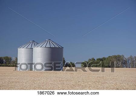 Stock Photograph - alberta, canada; two metal grain bins in a ripe wheat field. Fotosearch