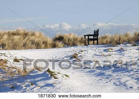 Stock Image - alnmouth, northumberland, england; a bench on snowy ground. Fotosearch