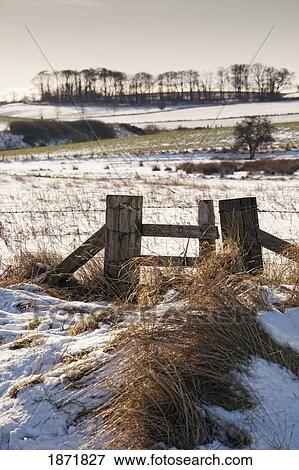 alnmouth, northumberland, england; a field with a trace of snow View Large Photo Image Stock Photo - alnmouth, northumberland, england; a field with a trace of snow. Fotosearch