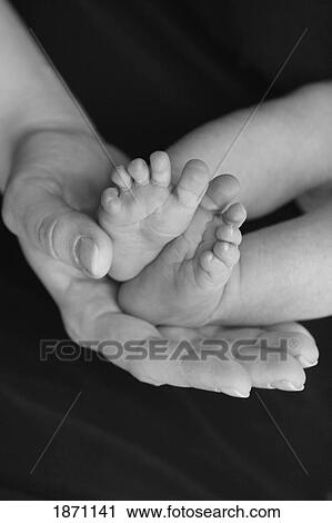 an infant's bare feet held by an adult's hand View Large Photo Image Stock Image - an infant's bare feet held by an adult's hand. Fotosearch