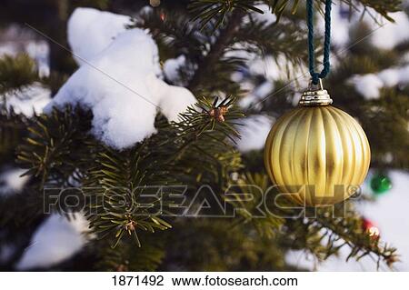 Stock Image - an ornament hanging from a tree covered in snow. Fotosearch