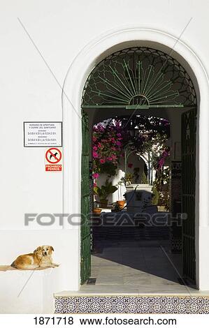 andalusia, spain; an open doorway to a house near tarifa View Large Photo Image Stock Photo - andalusia, spain; an open doorway to a house near tarifa. Fotosearch