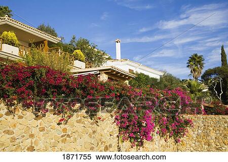 andalusia, spain; flowers growing along a stone wall behind houses near zahara de los atunes View Large Photo Image Stock Photography - andalusia, spain; flowers growing along a stone wall behind houses near zahara de los atunes. Fotosearch