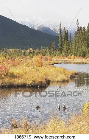 Stock Photo - banff national park, alberta, canada; vermilion lakes and mountains in autumn. Fotosearch