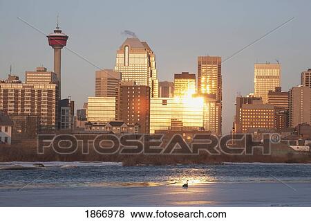 Stock Photo - calgary, alberta, canada; bow river and buildings reflecting the sun. Fotosearch