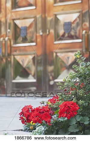 calgary, alberta, canada; flowers outside the old courthouse entrance View Large Photo Image Stock Photograph - calgary, alberta, canada; flowers outside the old courthouse entrance. Fotosearch