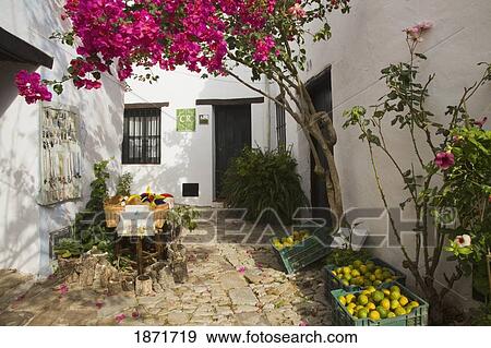 castellar de la frontera, andalusia, spain; flowers and fruit in the street View Large Photo Image Stock Photo - castellar de la frontera, andalusia, spain; flowers and fruit in the street. Fotosearch