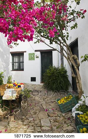 Stock Photography - castellar de la frontera, andalusia, spain; fruit and flowers in the street. Fotosearch
