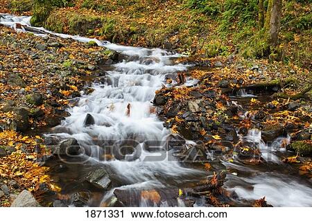 columbia river gorge national scenic area, oregon, united states of america; wahkeena creek in autumn View Large Photo Image Stock Image - columbia river gorge national scenic area, oregon, united states of america; wahkeena creek in autumn. Fotosearch