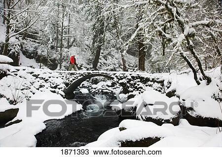 columbia river gorge national scenic area, oregon, united states of america; a person walking over a bridge with snow and a creek View Large Photo Image Stock Image - columbia river gorge national scenic area, oregon, united states of america; a person walking over a bridge with snow and a creek. Fotosearch