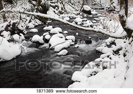 columbia river gorge national scenic area, oregon, united states of america; snow covering the rocks in a creek View Large Photo Image Stock Photo - columbia river gorge national scenic area, oregon, united states of america; snow covering the rocks in a creek. Fotosearch