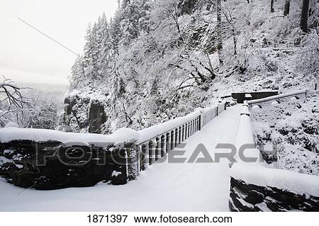 columbia river gorge national scenic area, oregon, united states of america; snow covering a trail through the forest View Large Photo Image Stock Photo - columbia river gorge national scenic area, oregon, united states of america; snow covering a trail through the forest. Fotosearch