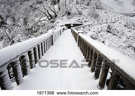 Stock Photo - columbia river gorge national scenic area, oregon, united states of america; snow covering a trail through the forest. Fotosearch
