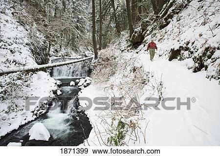 columbia river gorge national scenic area, oregon, united states of america; a person walking down a snow covered trail View Large Photo Image Stock Photo - columbia river gorge national scenic area, oregon, united states of america; a person walking down a snow covered trail. Fotosearch