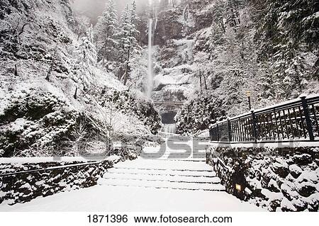 columbia river gorge national scenic area, oregon, united states of america; snow covering the steps through the forest View Large Photo Image Stock Photograph - columbia river gorge national scenic area, oregon, united states of america; snow covering the steps through the forest. Fotosearch