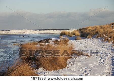 Stock Image - cresswell, northumberland, england; snow on the ground along the shore. Fotosearch