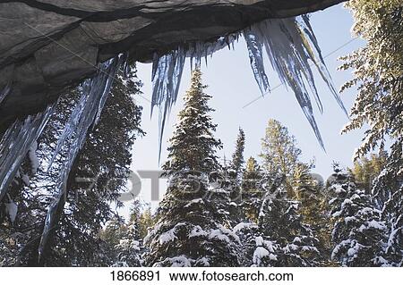 Stock Image - crowsnest pass, alberta, canada; icicles on a rock cliff. Fotosearch