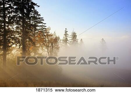 happy valley, oregon, united states of america; sun shining through the morning fog View Large Photo Image Stock Photography - happy valley, oregon, united states of america; sun shining through the morning fog. Fotosearch