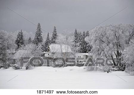 houses and trees in winter View Large Photo Image Stock Photo - houses and trees in winter. Fotosearch