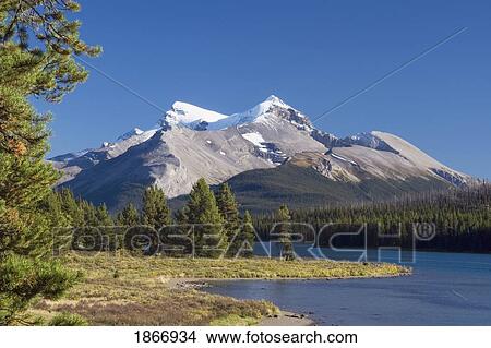 Picture - jasper national park, alberta, canada; maligne lake and mountains. Fotosearch