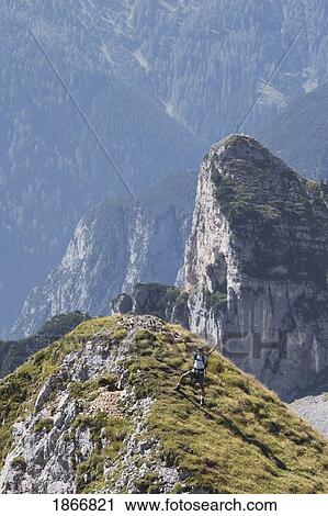 Stock Image - maurach, austria; male hiker on a mountain. Fotosearch
