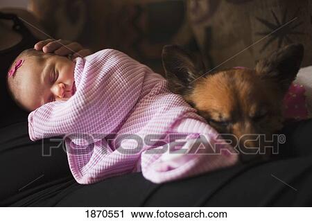nashville, tennessee, united states of america; a mother holding her infant girl with the pet dog close View Large Photo Image Stock Image - nashville, tennessee, united states of america; a mother holding her infant girl with the pet dog close. Fotosearch