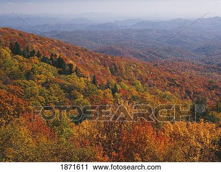 Stock Image - north carolina, united states of america; autumn colors across the blue ridge mountains as viewed from the blue ridge parkway. Fotosearch