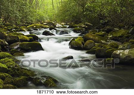 north carolina, united states of america; cascades in the oconaluftee river in the great smokey mountains national park View Large Photo Image Stock Image - north carolina, united states of america; cascades in the oconaluftee river in the great smokey mountains national park. Fotosearch