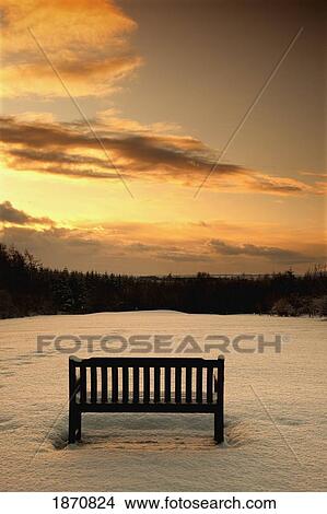 northumberland, england; a park bench sitting in a snowy field in winter View Large Photo Image Picture - northumberland, england; a park bench sitting in a snowy field in winter. Fotosearch