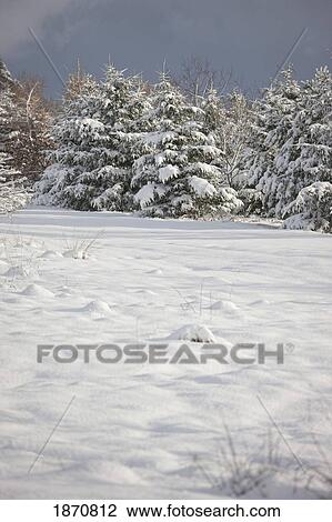 northumberland, england; a winter landscape View Large Photo Image Stock Image - northumberland, england; a winter landscape. Fotosearch