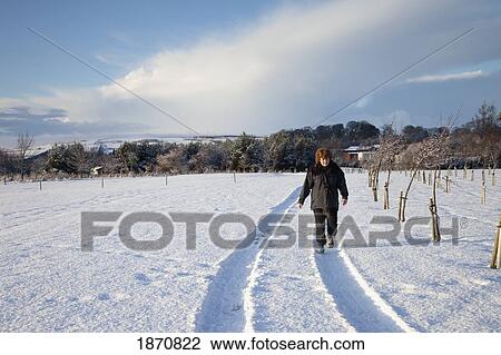 northumberland, england; a woman walking in tire tracks through the snow View Large Photo Image Stock Image - northumberland, england; a woman walking in tire tracks through the snow. Fotosearch