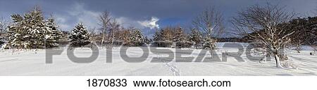 Stock Image - northumberland, england; footprints through the snow. Fotosearch