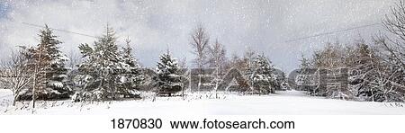 northumberland, england; snow-covered trees in the winter View Large Photo Image Stock Image - northumberland, england; snow-covered trees in the winter. Fotosearch