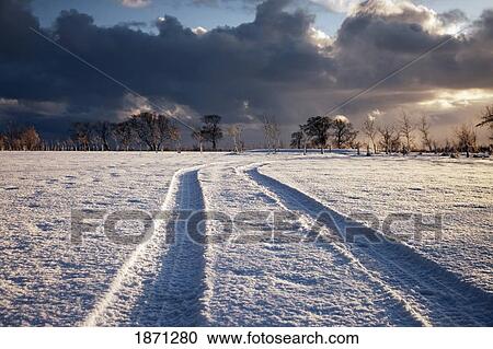 northumberland, england; tire tracks in the snow View Large Photo Image Stock Image - northumberland, england; tire tracks in the snow. Fotosearch