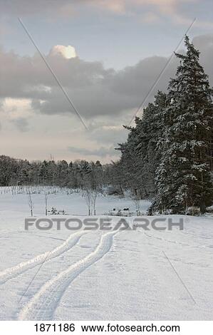 northumberland, england; tire tracks in the snow View Large Photo Image Stock Photograph - northumberland, england; tire tracks in the snow. Fotosearch