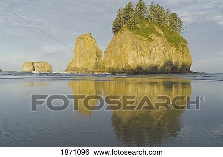 olympic national park, washington, united states of america; a large rock off the shore of second beach on the olympic coast View Large Photo Image Stock Photograph - olympic national park, washington, united states of america; a large rock off the shore of second beach on the olympic coast. Fotosearch