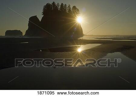 Stock Photography - olympic national park, washington, united states of america; reflection of the setting sun from second beach on the olympic coast. Fotosearch