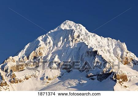 oregon cascades, oregon, united states of america; a view of mount hood from lolo pass View Large Photo Image Picture - oregon cascades, oregon, united states of america; a view of mount hood from lolo pass. Fotosearch