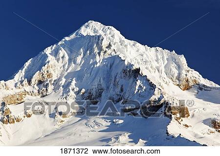 oregon cascades, oregon, united states of america; a view of mount hood from lolo pass View Large Photo Image Stock Image - oregon cascades, oregon, united states of america; a view of mount hood from lolo pass. Fotosearch